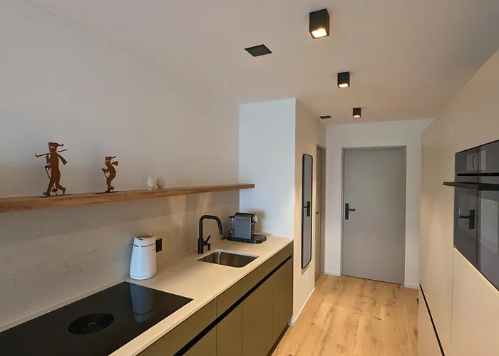 Casa Zundra Alpine Flims